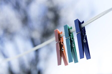 Colorful clothes peg in the springの写真素材