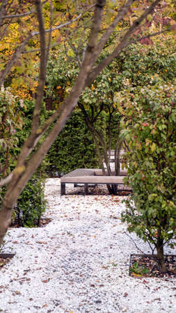 A vertical photograph of a part of a Japanese garden with a wooden bench.The road covered with a small white stone. Gardening.の写真素材