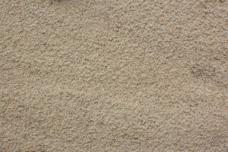 Close-up of smooth sand at a beach texture background. Full frame shot of sand area on the beach. Top view of sandy beach. Background with copy space and visible sand texture.の写真素材