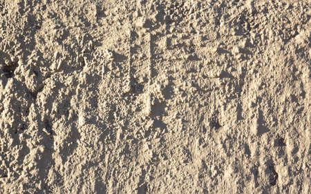 Rough concrete wall for the background. Cement wall texture for the background. Covering the foundation of house walls with cement plaster. Grey surface for design.の写真素材