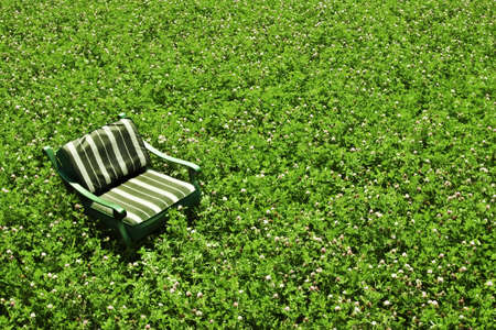 Green chair in the fieldの写真素材