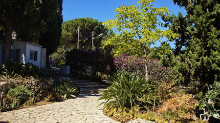 Bahai Gardensの写真素材