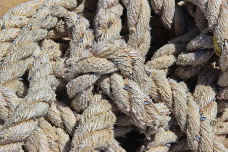 photo of a texture ship rope. covered with sandの写真素材