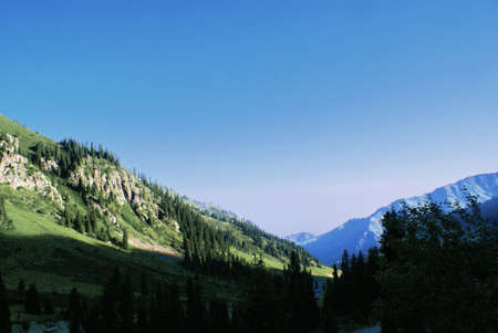 Mountain canyon in summer near the Chimbulakの写真素材