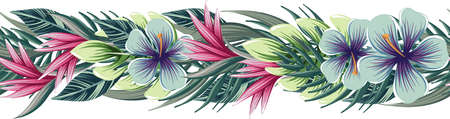 vector drawings of seamless border with tropical plants, floral frameのイラスト素材
