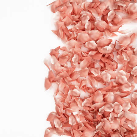 Rose petals border on a white background, 3d renderingの写真素材