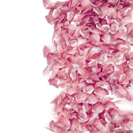 Rose petals border on a white background, 3d renderingの写真素材