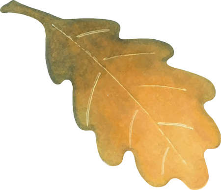 Vector drawing of a watercolor leafのイラスト素材