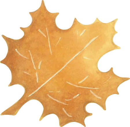 Vector drawing of a watercolor leafのイラスト素材