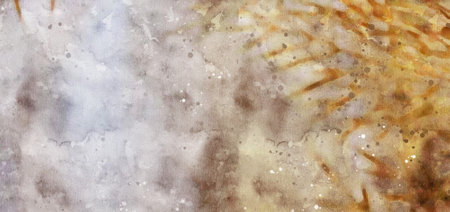 Abstract background in watercolor styleの写真素材