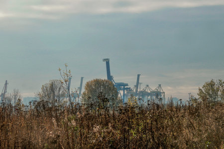 coast of the Kanonersky Island in autumnの写真素材