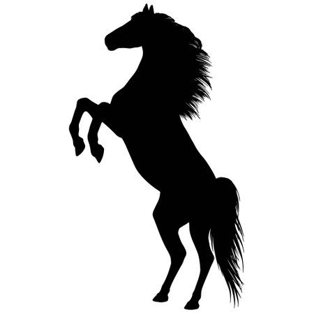 Drawing the black silhouette of standing horseのイラスト素材