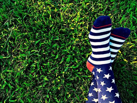 Stars and Stripes socksの素材