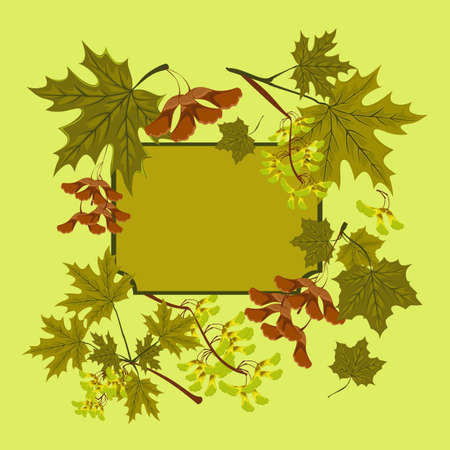 Branch, seeds and leaves of maple. Summer green maple leaves set. Concept of autumn frame or background with maple leaves.のイラスト素材