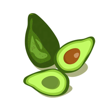 Avocado vector icon. Whole avocado and avocado in cut. exotic fruits. Avocado fruit flat design....