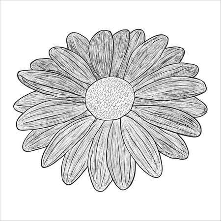 Vector black and white illustration of a flower.のイラスト素材
