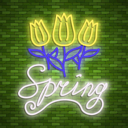 Neon banner spring. Stock vector. Poster for a spring party.のイラスト素材
