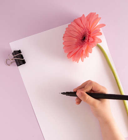 Creative Mother's Day greeting card design. The hand of a girl writing a greeting card, blank paper and a pink gerbera flower on a pastel purple background. Flat layout.の写真素材