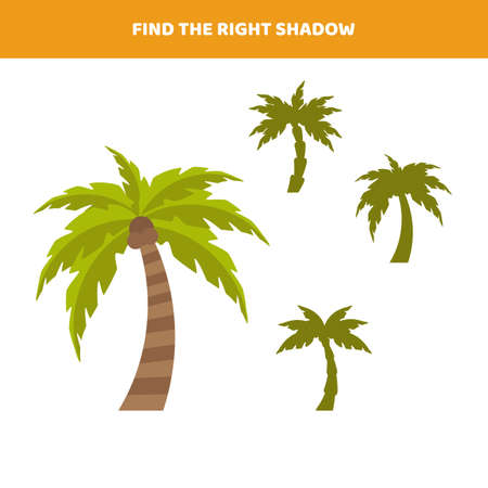 Find the right shadow for cartoon palm. Educational game for kids.のイラスト素材