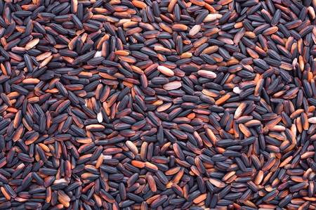 Black glutinous rice  black sticky rice,black rice の写真素材