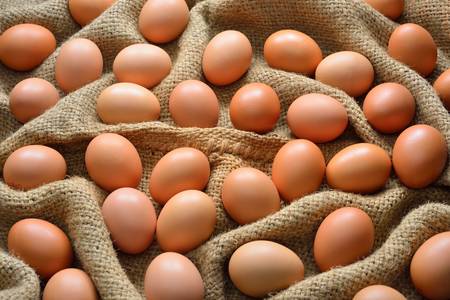 Eggs on burlap sack