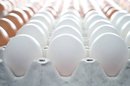 White eggs in the package