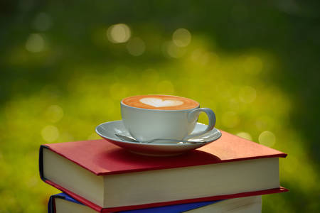 A cup of cafe latte and books in the garden の写真素材