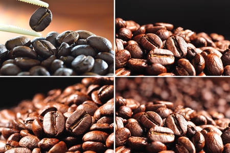 Collection of coffee beansの写真素材