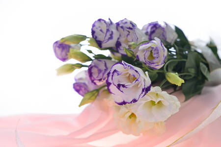 Bouquet of eustoma flowers on pink clothの写真素材