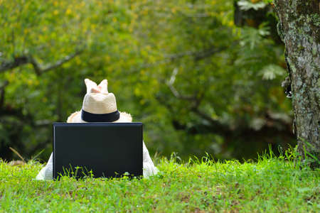 Happy woman lying on green grass using laptop computer in the parkの写真素材