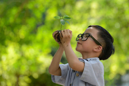 Child holding young plant in hands with a hope of good environmentの写真素材