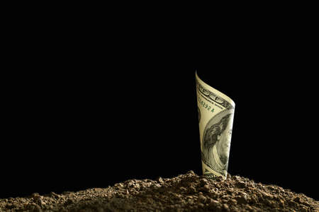 Image of rolled bank note on top of soil for business, saving, growth, economic concept isolated on...