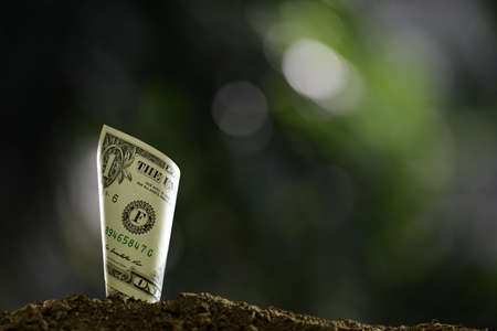 Image of rolled bank note on top of soil for business, saving, growth, economic concept の写真素材
