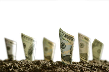 Image of rolled bank notes on soil for business, saving, growth, economic concept isolated on white backgroundの写真素材