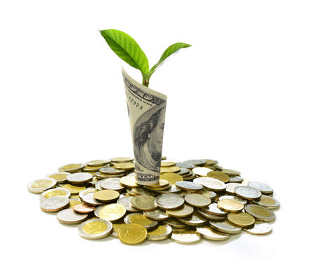 Image of pile of coins and rolled bank note with plant on top showing business, saving, growth,...