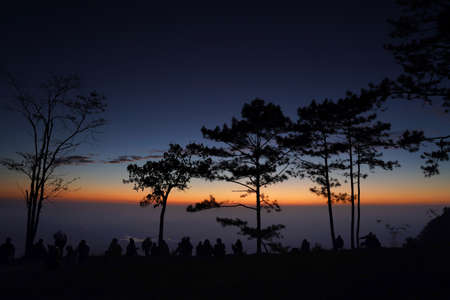 Image of sunrise on orange and yellow horizon with people's silhouette surrounded by pine trees (...