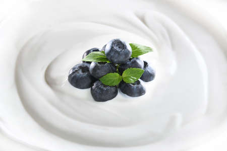 Top view of plain yogurt with fresh blueberries on top isolated on white backgroundの写真素材