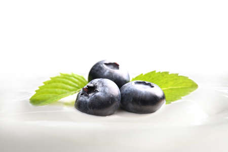 Plain yogurt with fresh blueberries on top isolated on white backgroundの写真素材