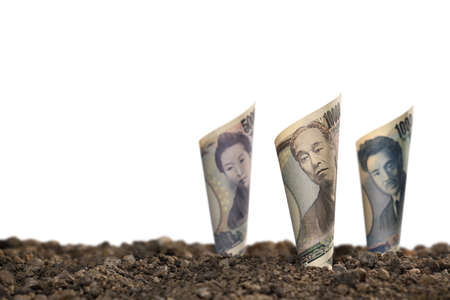 Image of Japanese yen banknotes on top of soil for business, saving, growth, economic concept isolated on whiteの写真素材