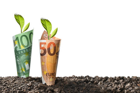 Image of EURO money banknotes with plant growing on top for business, saving, growth, economic concept isolated on whiteの写真素材