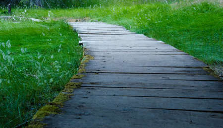 Wooden path across a grassy meadow