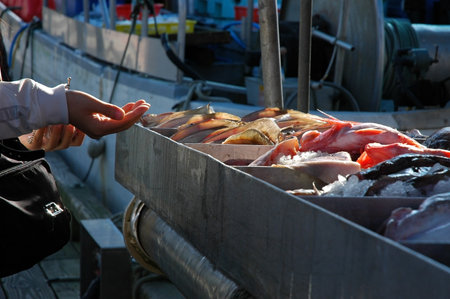 Richmond, BC, Canada - October 6, 2008: Buying fish at Steveston Fish Marketのeditorial素材