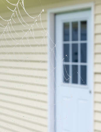 Spiderweb near the house doorの写真素材