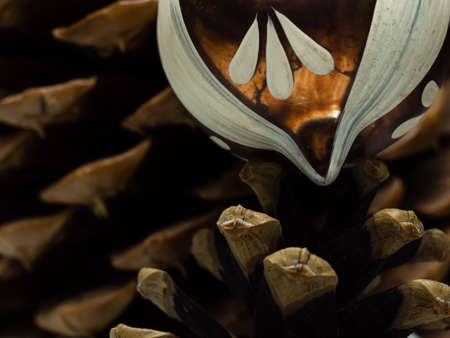 Brown christmas ornament on a pine coneの写真素材