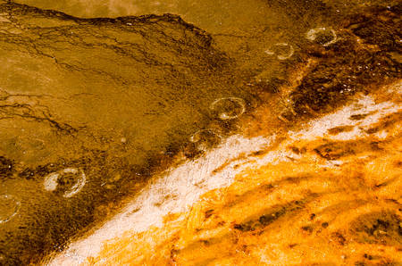 Bison footprints in a thermal springの写真素材