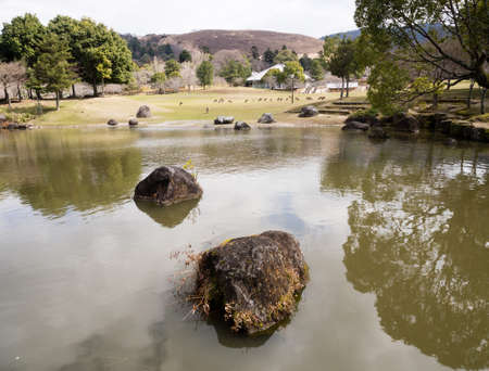 Pond with rocks in Nara koen park