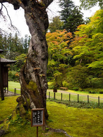 Nikko, Japan - October 23, 2016: Traditional Japanese garden in Tamozawa Imperial villa with fall leaves starting to change colorのeditorial素材