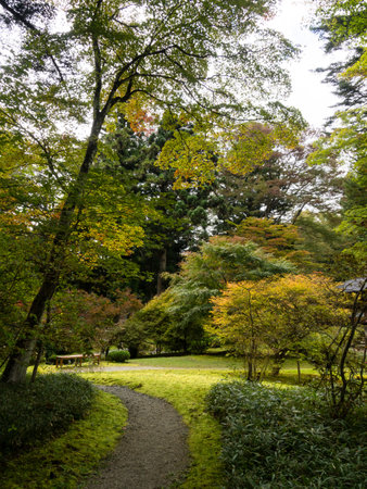 Nikko, Japan - October 23, 2016: Traditional Japanese garden in Tamozawa Imperial villa with fall leaves starting to change colorのeditorial素材