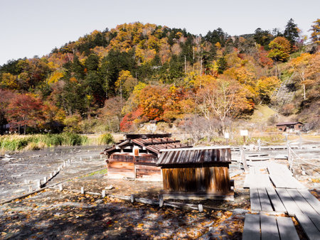 Nikko, Japan - October 24, 2016: Fall colors in Nikko-Yumoto hot springs, part of Nikko National Parkのeditorial素材