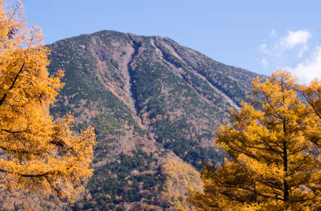 Mount Nantai and golden autumn larches at Senjogahara in Nikko National Park, Japanの写真素材
